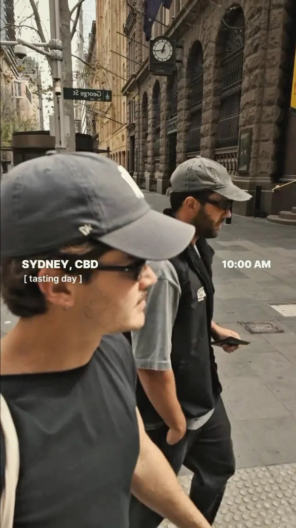Parva Yerba mate powder